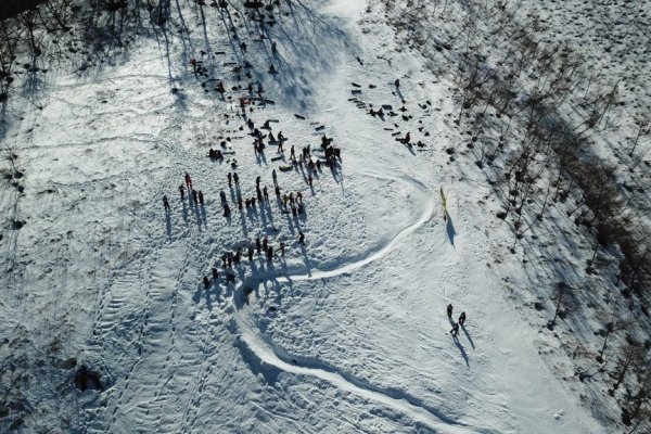 Кракен сайт дарк нет