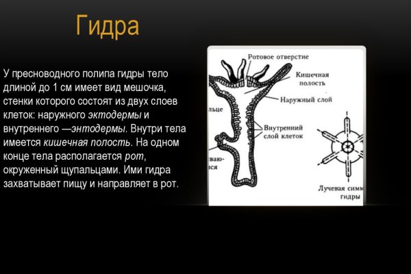 Кракен 15at