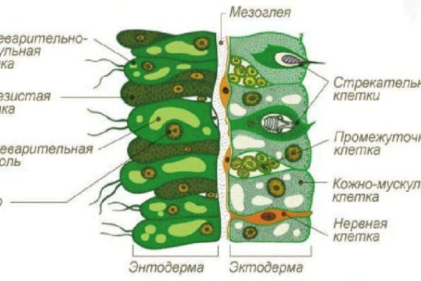 Кракен сайт 14