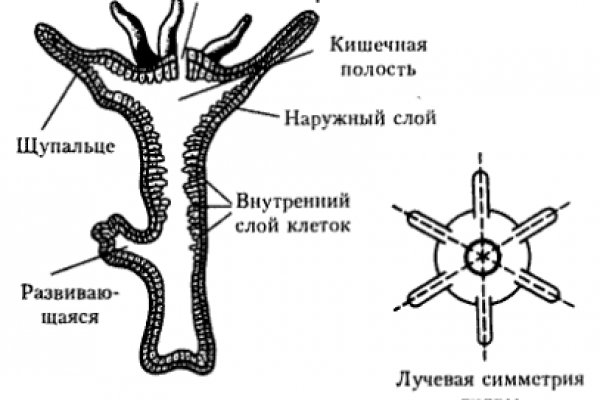 Кракен 2kraken biz