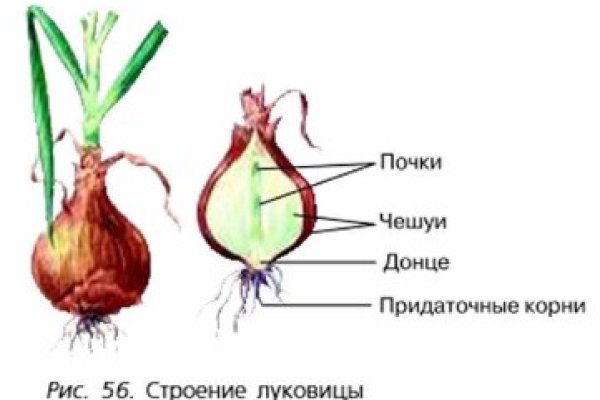 Как выйти на кракен